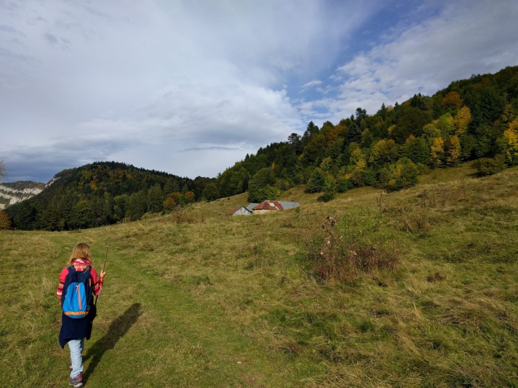 Le plateau du Revard : alpages propices à la randonnée, ski de fond l'hiver, VTT l'été. La nature authentique à 20 mn de nos logements.